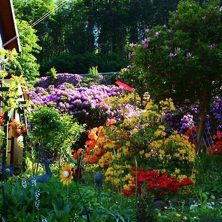 Ferienwohnung Baacke Рула Екстериор снимка